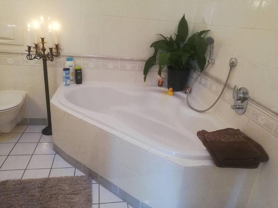 Penthousewohnung 120 Qm Innenstadt+ Dachterrasse *